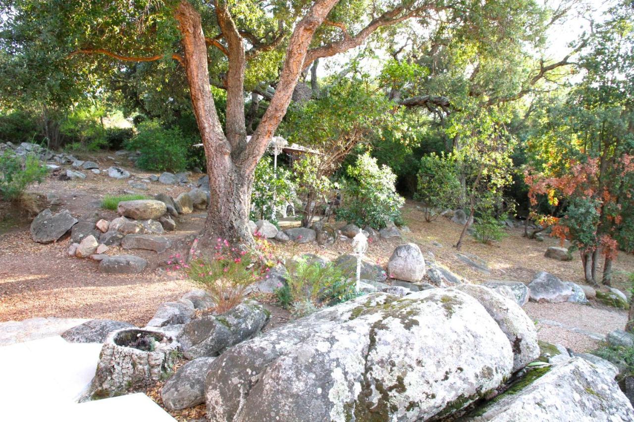 Residence Les Jardins De Sainte-Lucie "Piscine Chauffee" מראה חיצוני תמונה